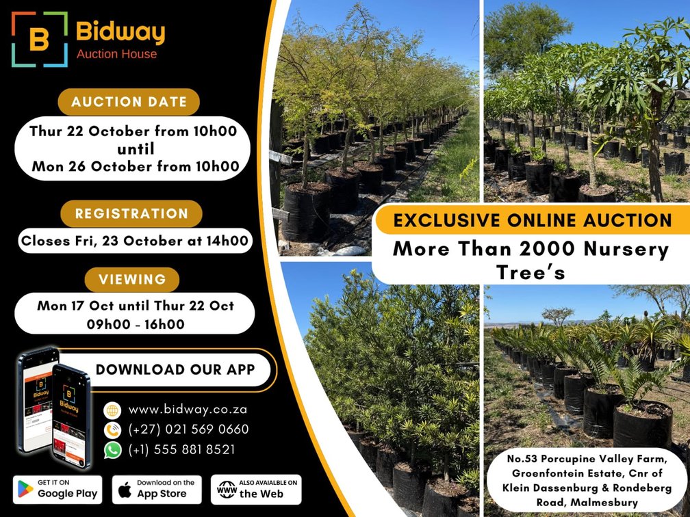 Obiflex (Pty)Ltd t/a Bidway