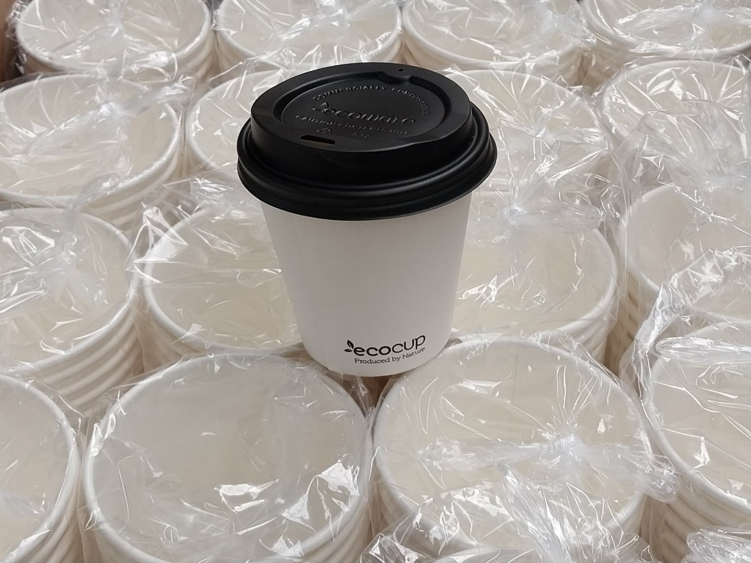 Image for Coffee Roaster & Cafe Clearance Auction 25.8.25 OS132825