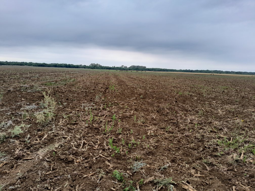 175 ha IRRIGATION FARM IN SCHUINSDRIFT