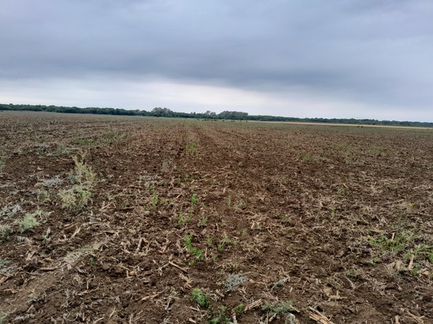 Image for 175 ha IRRIGATION FARM IN SCHUINSDRIFT