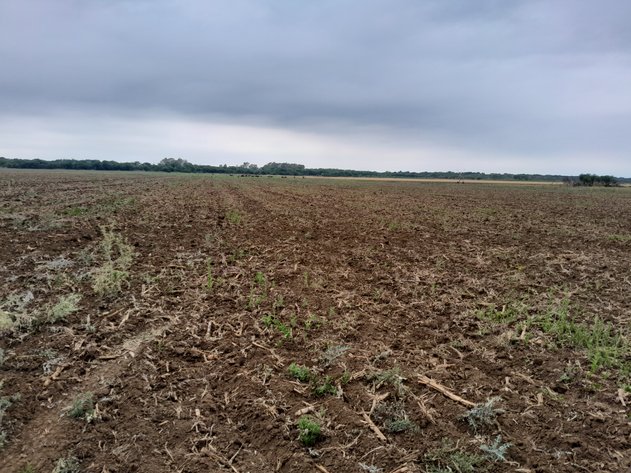 Image for 175 ha IRRIGATION FARM IN SCHUINSDRIFT
