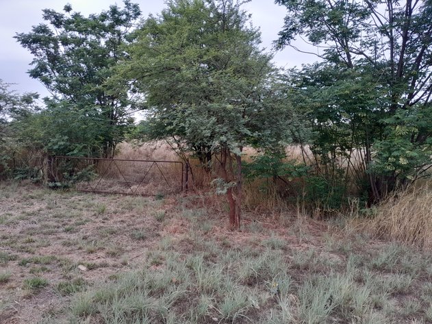 Image for 175 ha IRRIGATION FARM IN SCHUINSDRIFT