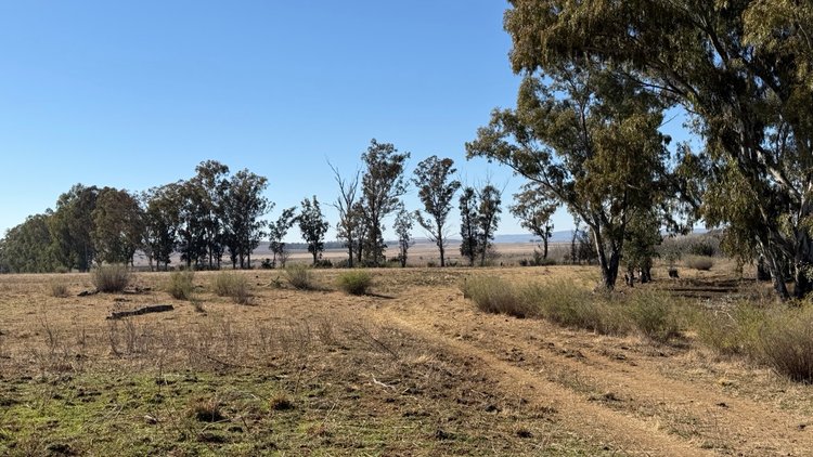 Image for Farm Mimosa 407, District Senekal, Setsoto NU, Free State