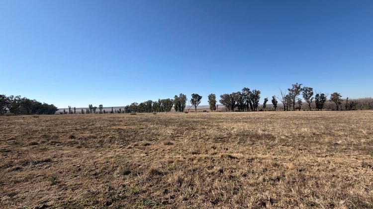 Image for 483 ha AGRICULTURAL FARM | LAND BANK PROPERTY ONLINE AUCTION