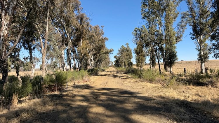 Image for INFORMATION LOT - OPEN TO VIEW MORE