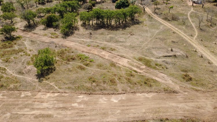 Image for GOVERNMENT DISPOSAL PROPERTY ONLINE AUCTION | COLLINS CHABANE LOCAL MUNICIPALITY | 10-14 SEPTEMBER 2026