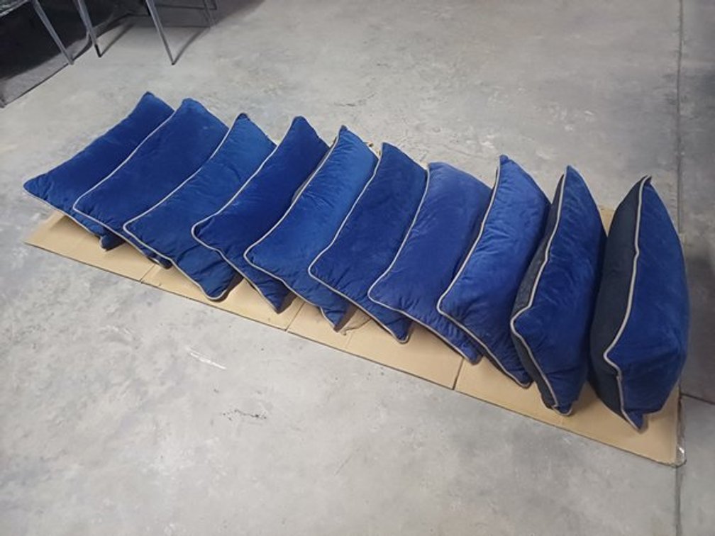 BED SCATTERS - SMALL BLUE  X10