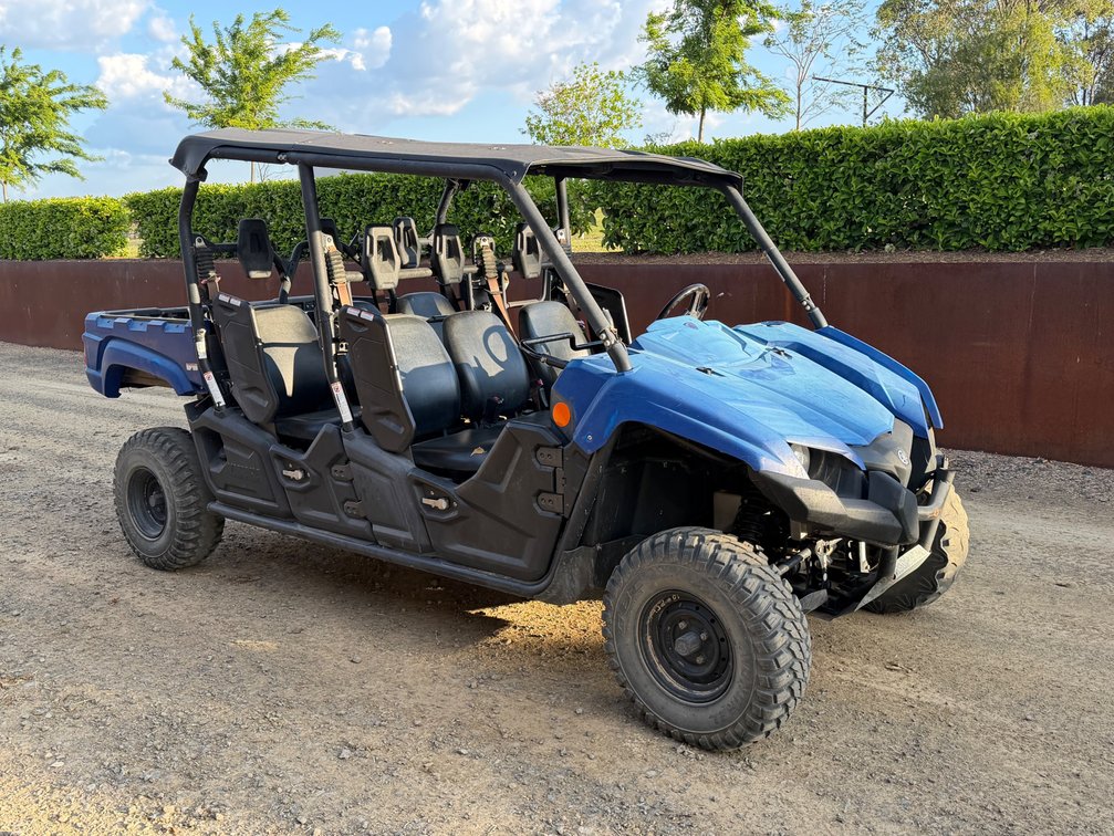 Yamaha Viking Buggy
