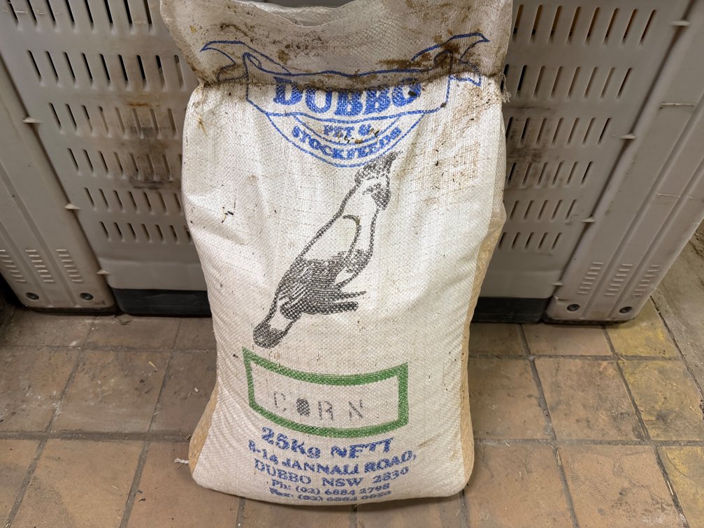 LIVESTOCK l FODDER