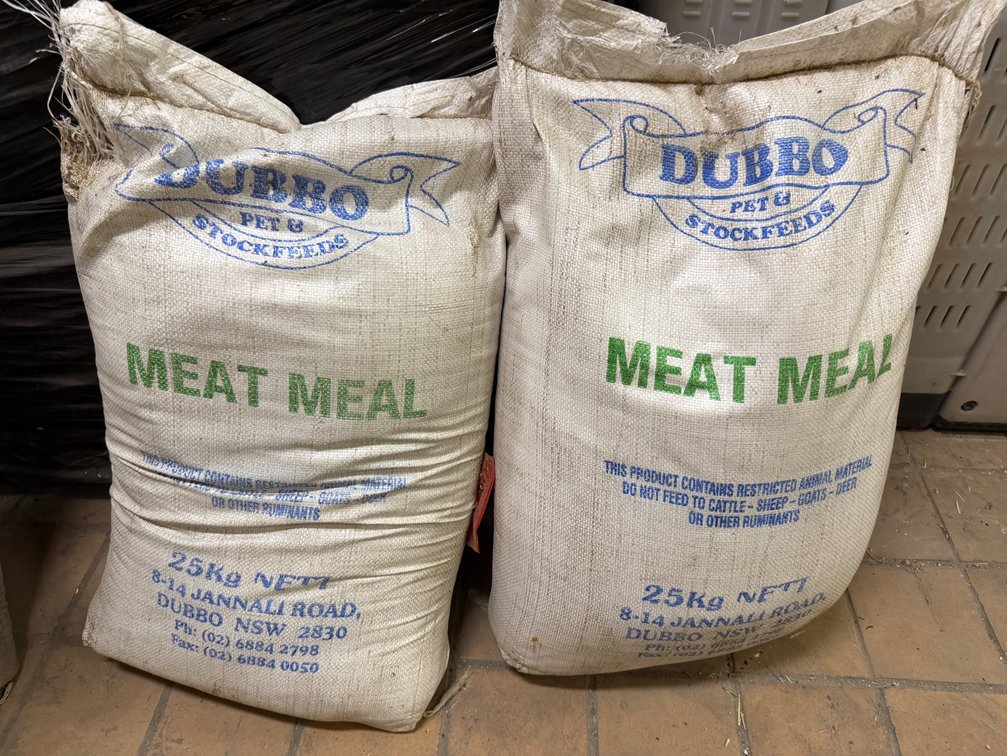 LIVESTOCK l FODDER