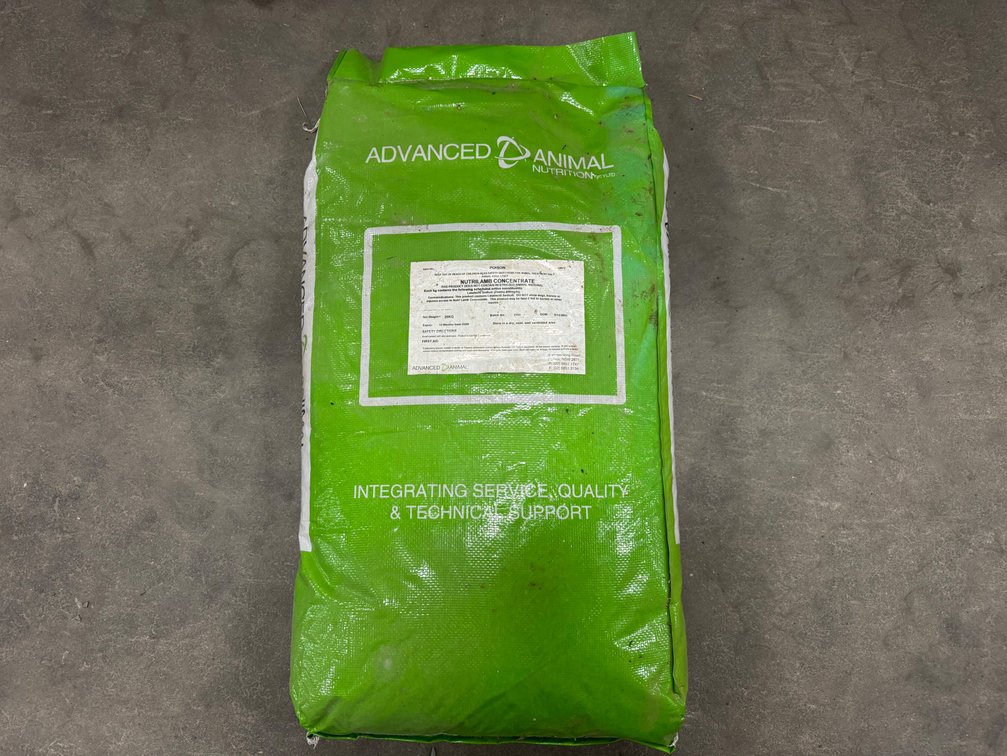 LIVESTOCK HUSBANDRY l SUPPLEMENTS