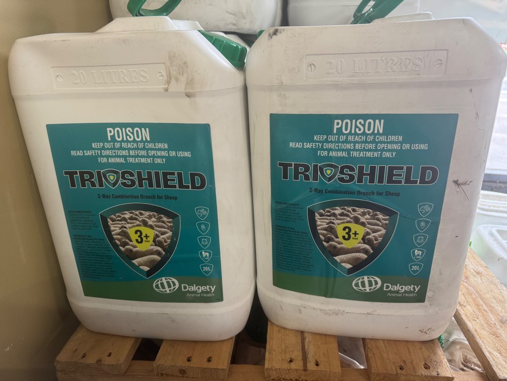 LIVESTOCK HUSBANDRY l DRENCH