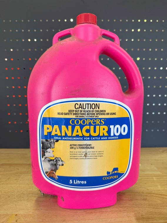 1 x COOPERS PANACUR-100 5L CATTLE / HORSE DRENCH