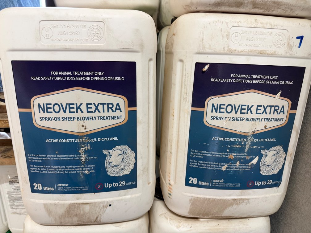 LIVESTOCK HUSBANDRY l FLY TREATMENT