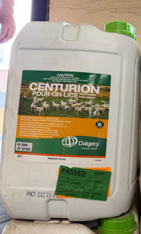 LIVESTOCK HUSBANDRY l LICE TREATMENT