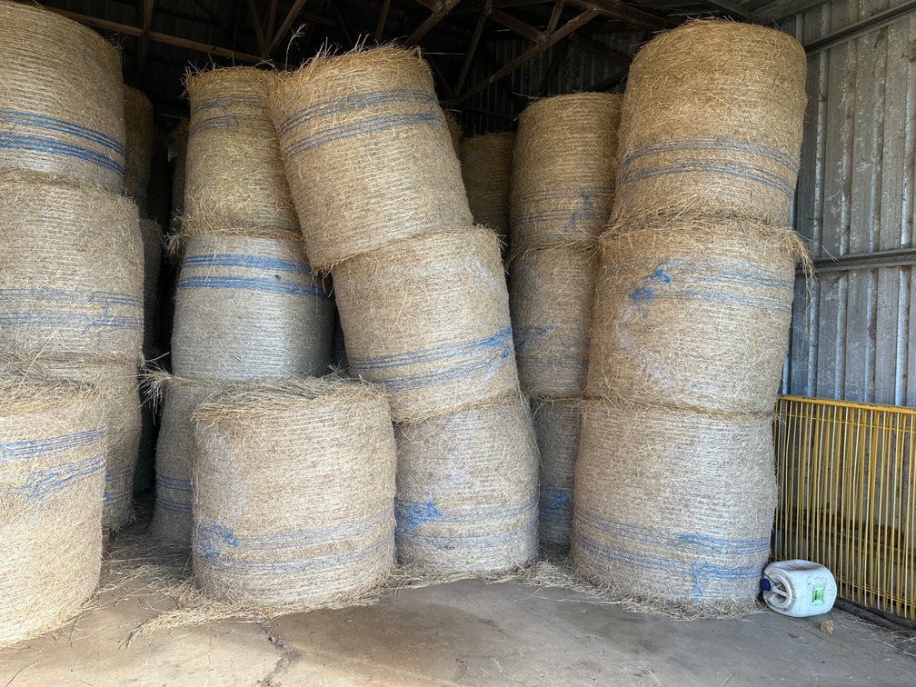 5 x RHODES “RECLAIMER” GRASS ROUND BALES