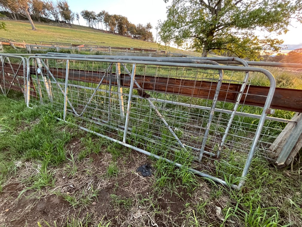 Lot 1139