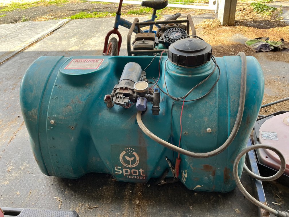 Lot 1309