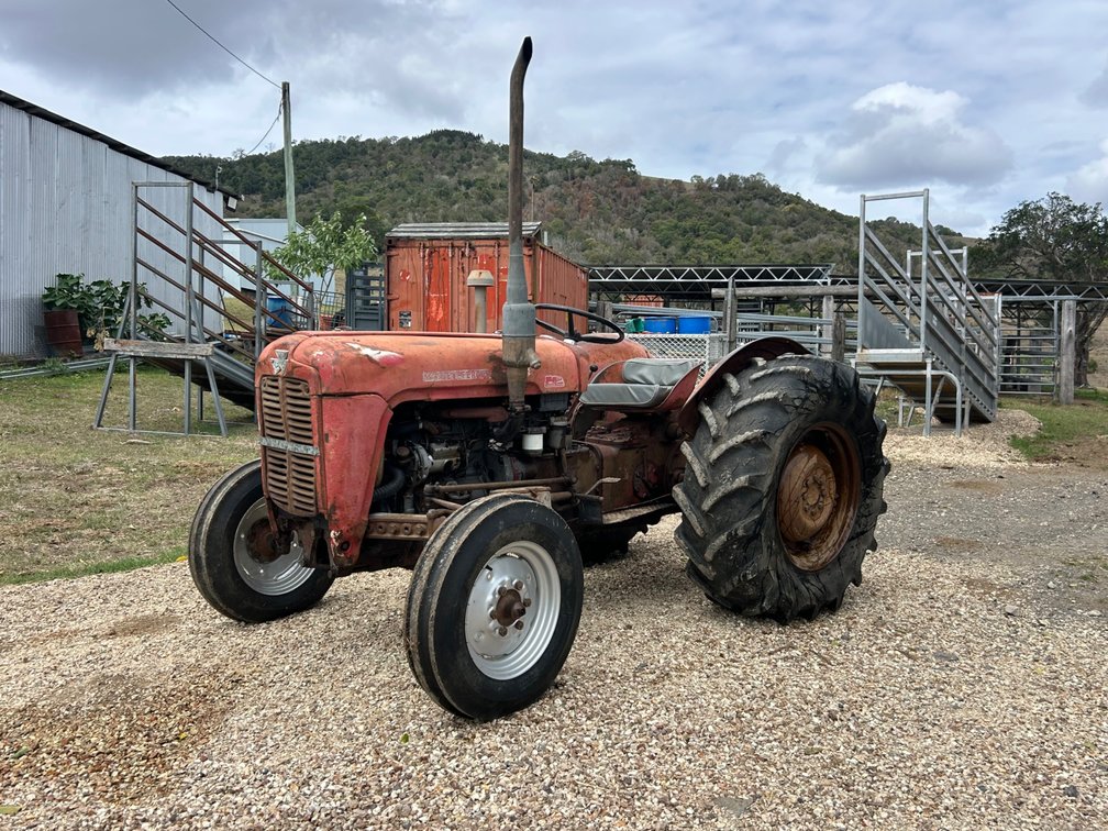 1963 Massey Ferguson 35X | NO GST