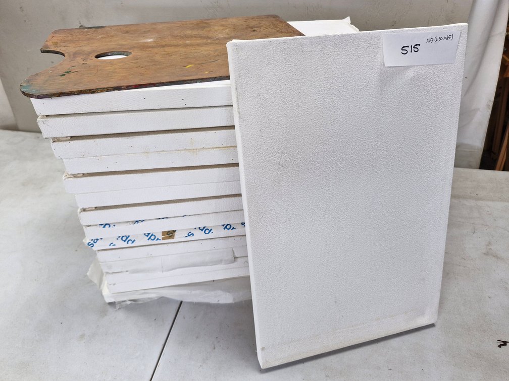 15 Assorted Artist Canvases / Panels – about 30 x 45 cm