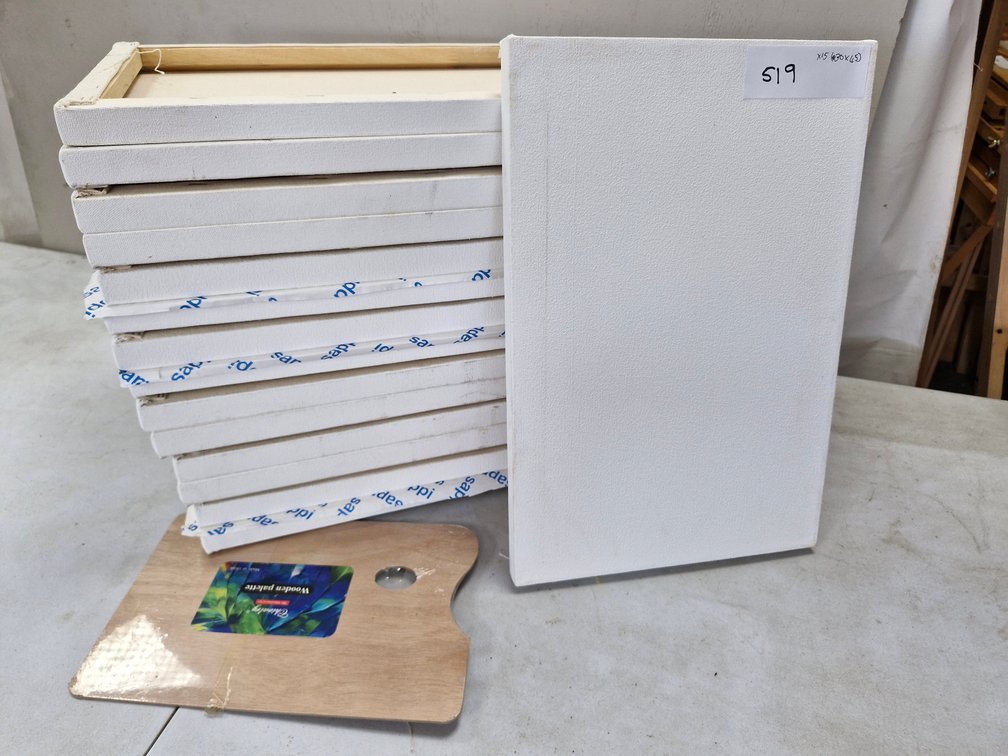 15 Assorted Artist Canvases / Panels – about 30 x 45 cm