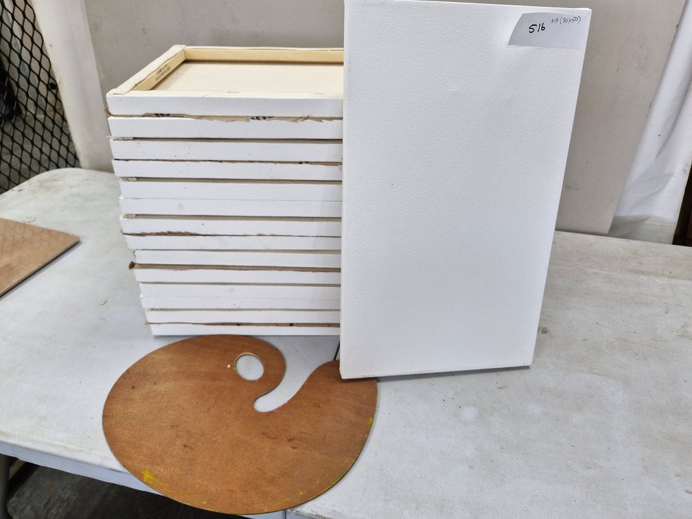 15 Assorted Artist Canvases / Panels – about 30 x 50 cm