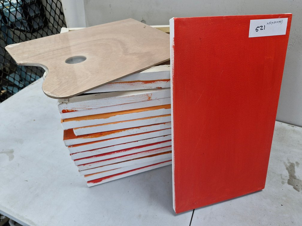 15 Assorted Artist Canvases / Panels – about 30 x 50 cm