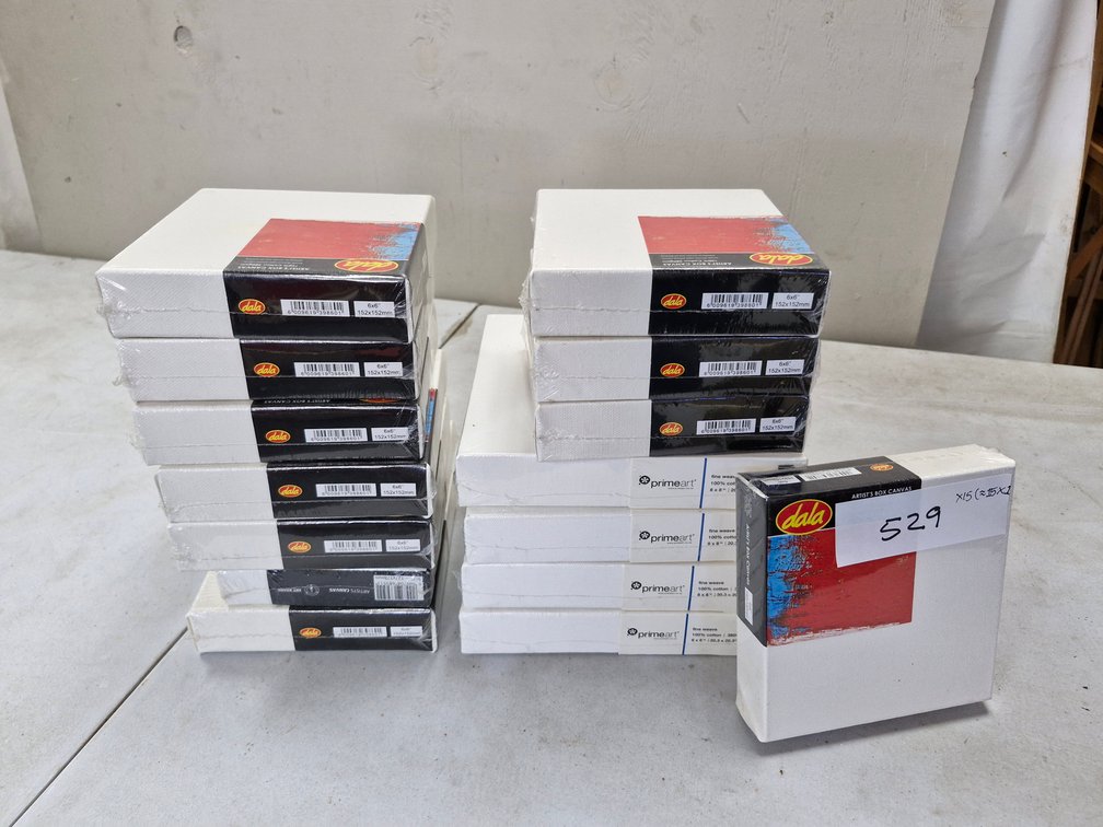 15 Assorted Artist Canvases / Panels – 25 cm box-canvas format