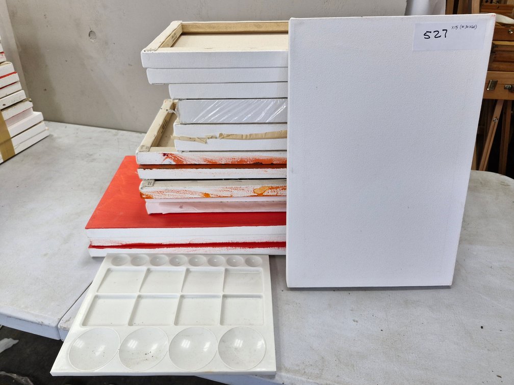 15 Assorted Artist Canvases / Panels – about 30 x 60 cm