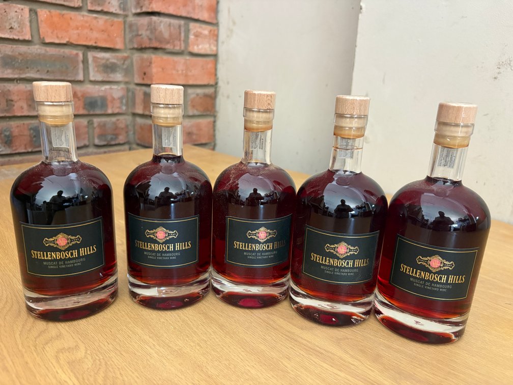 Stellenbosch Hills Muscat de Hambourg – 5 Bottle Lot