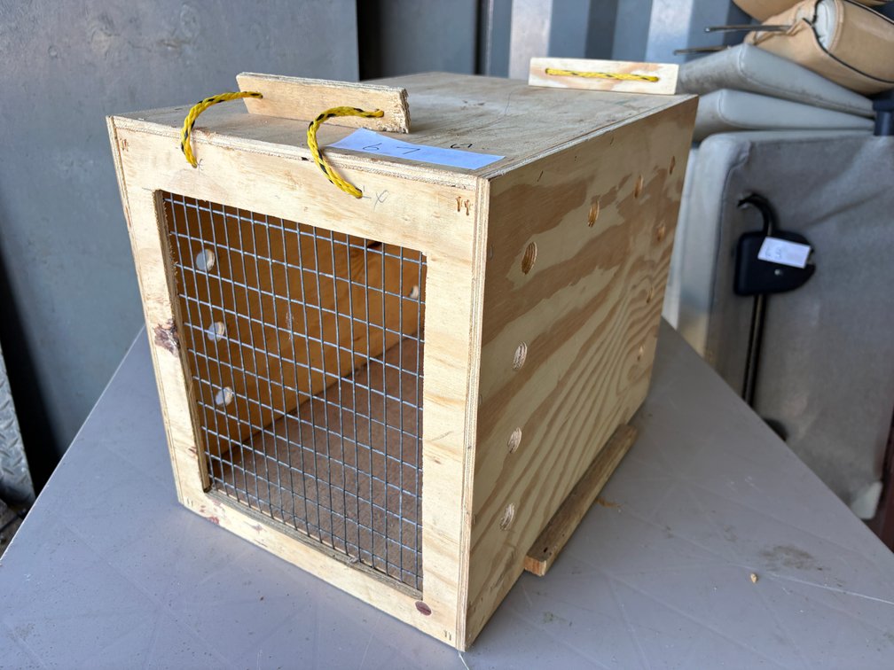 Wooden Animal / Bird Transport Crate