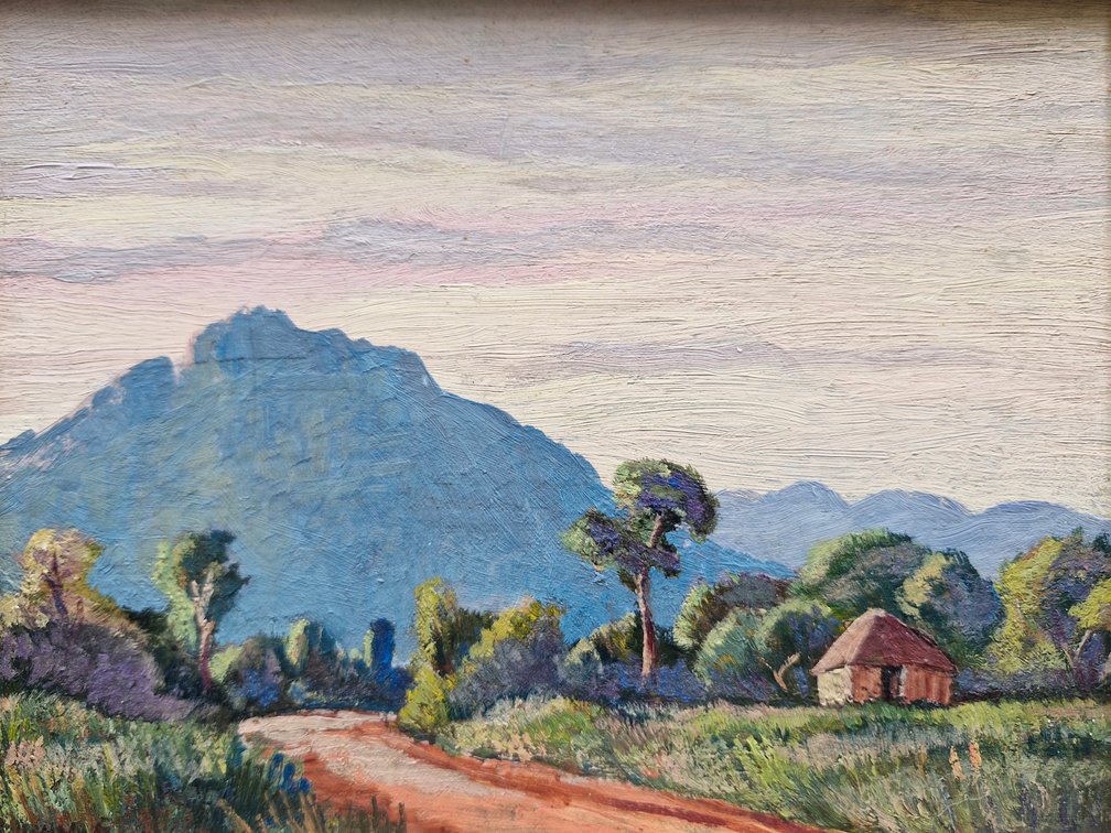 P Van Ryneveld - Light & Shade, Near Essenbosch, CP