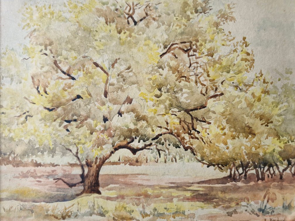 L Fredersher - Trees