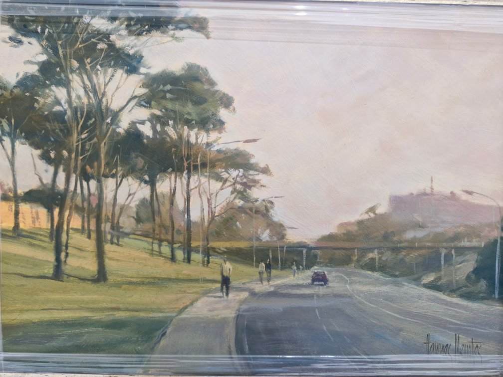 Hannes Meintjes - Albany Road
