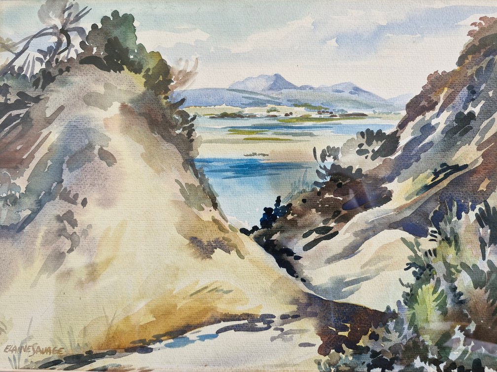 Elaine Savage - Landscape/Dunes