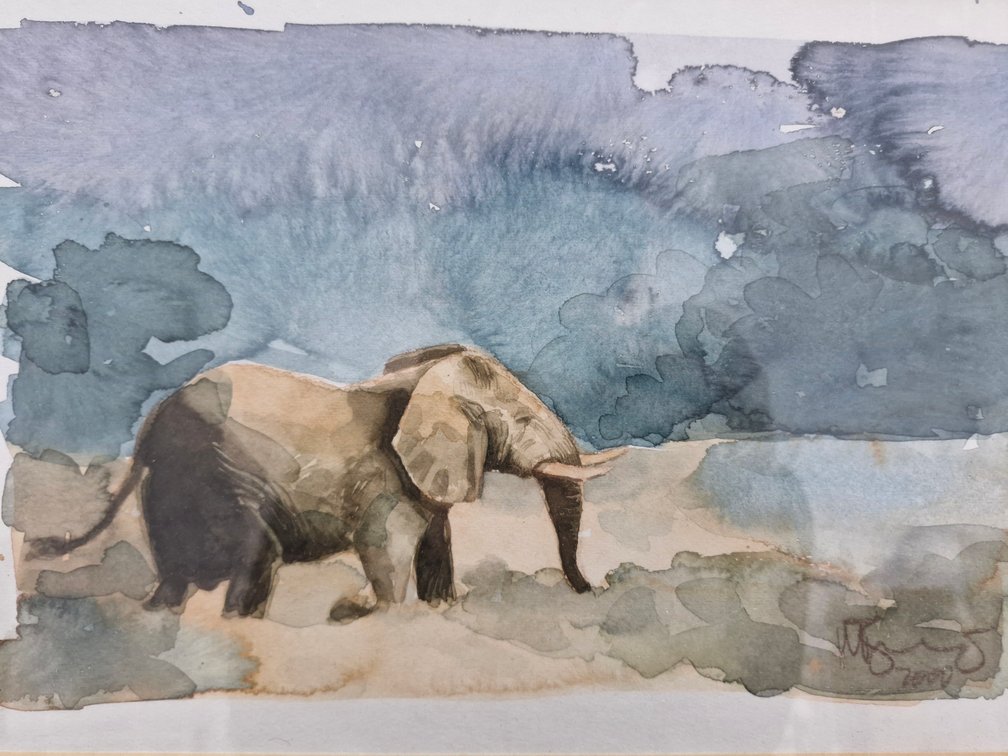 Ulrich Konrad Heinrich Waltin Schwanecke - Elephant