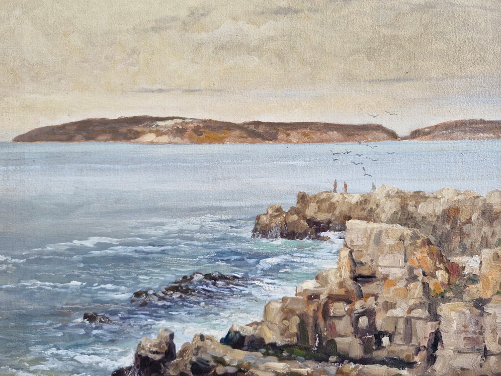 Stewart Titcombe - Robberg