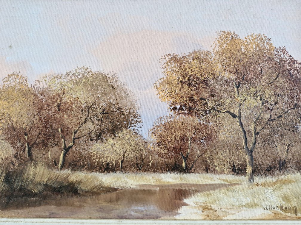 Thomas Hacking - Highveld Landscape