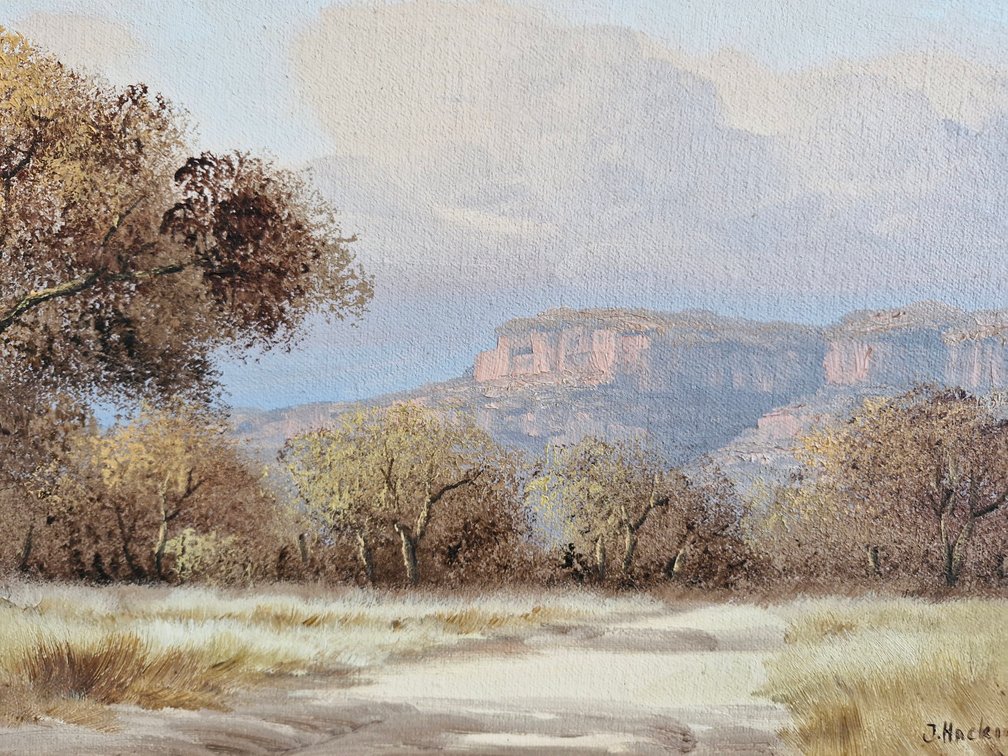 Thomas Hacking - Highveld Landscape