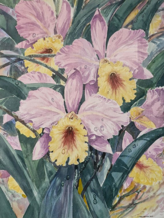 Theo Bester - Flowers (Iris)