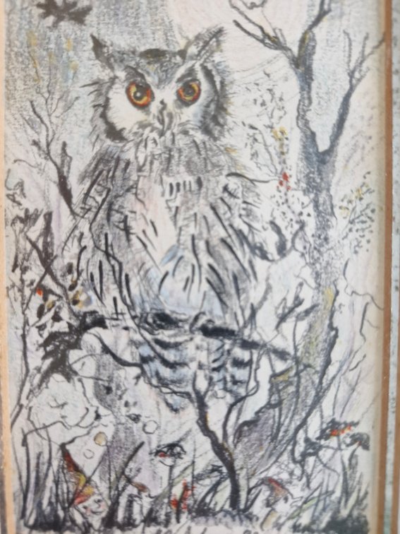 Maureen Schurr - Full Moon Frolics  (Owl)