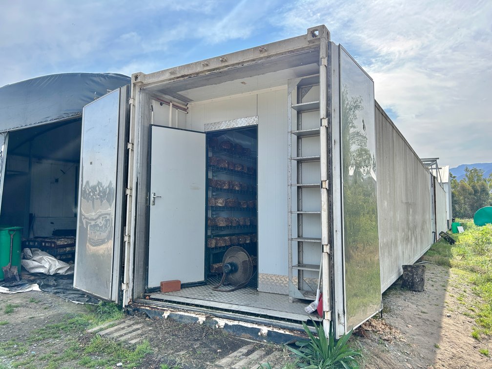 Fruiter One - 1 x 12m Reefer Container