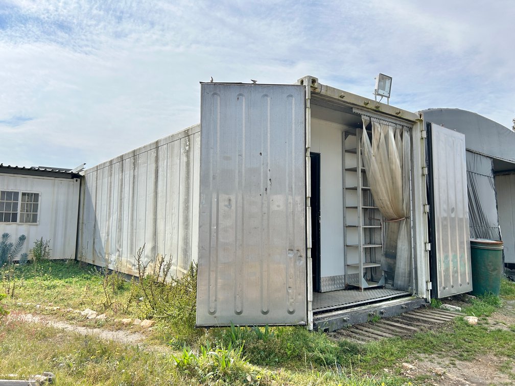 Fruiter Two - 1 x 12m Reefer Container with contents