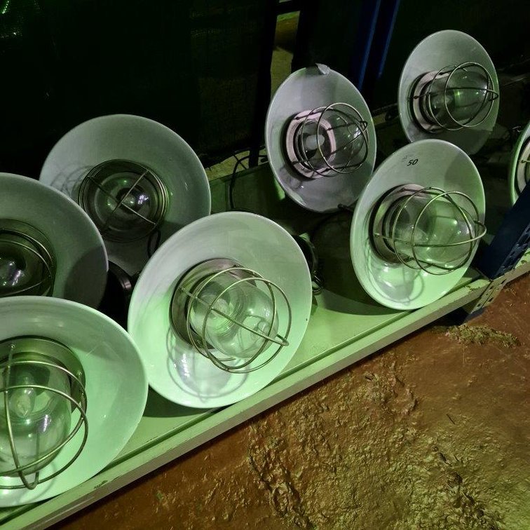 8 x Metal Dome Pendant Lights