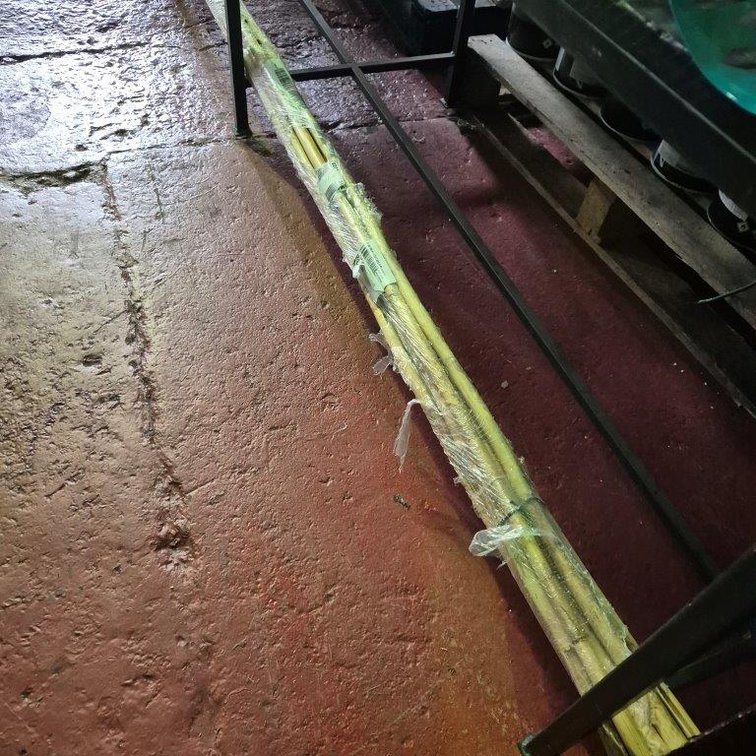 Set Of 10 Bamboo Poles