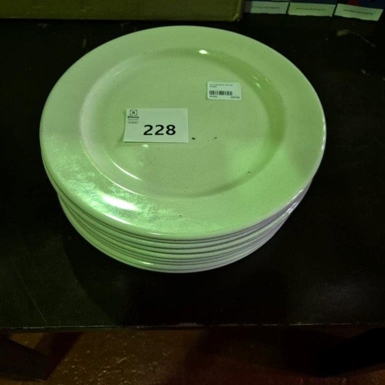 10 x Ceramic Dinner Plates