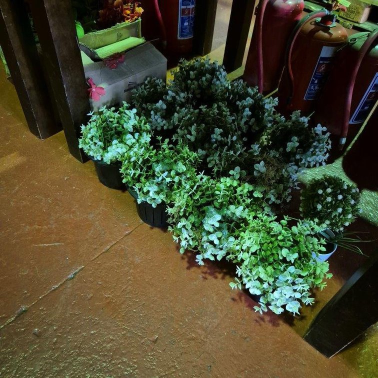 Lot Asssorted Artificial Plants