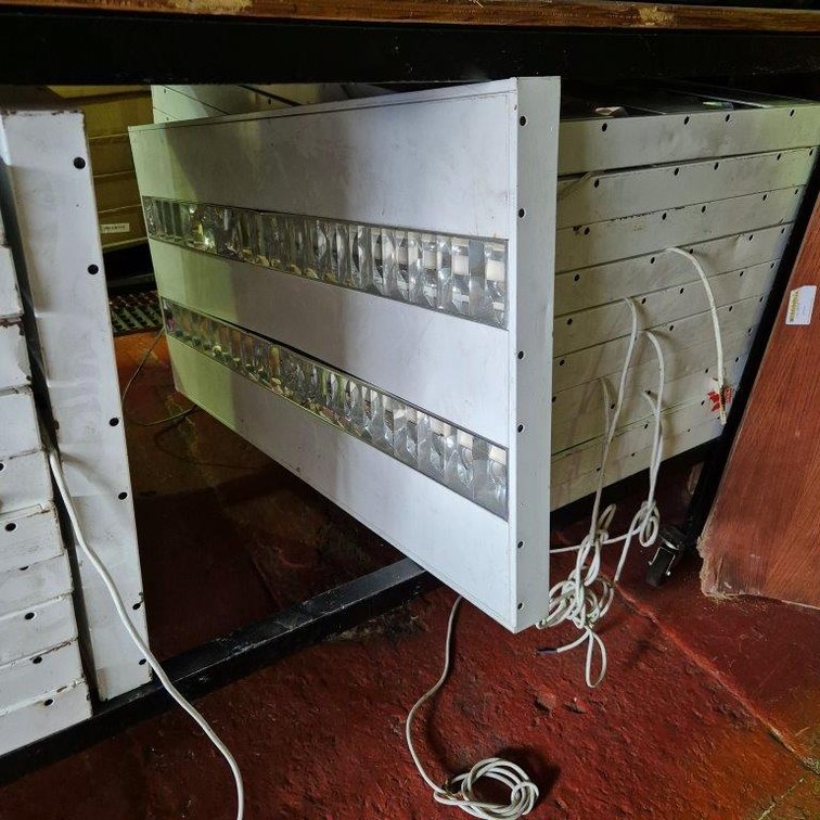 22 x Ceiling Lights