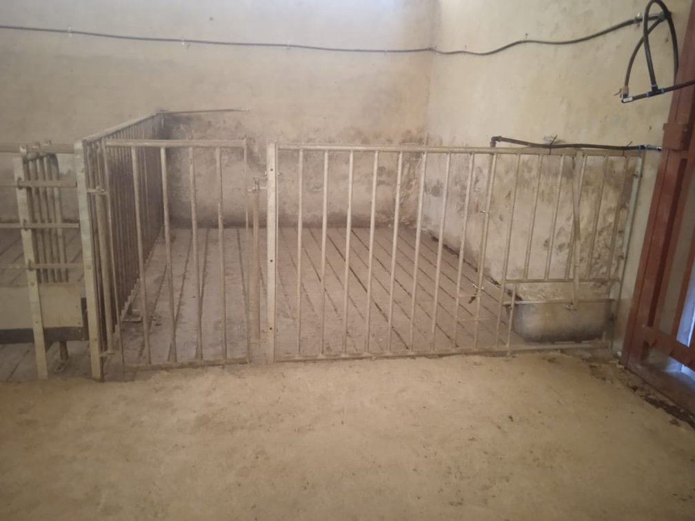 Pig Farming Unit/ Cages (31x10m)