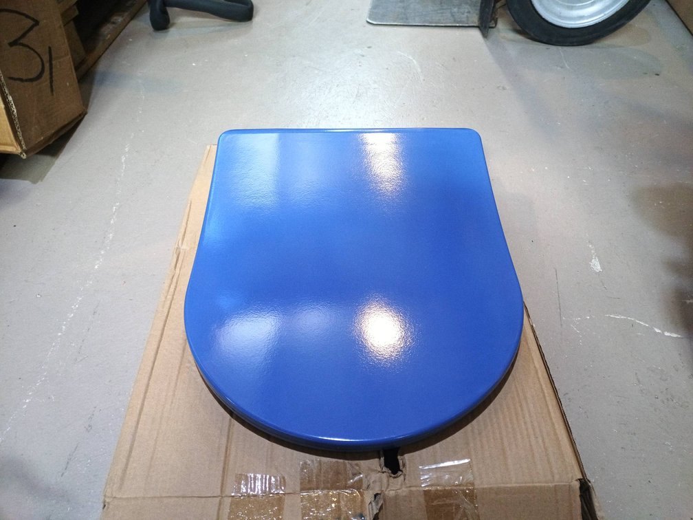 Blue Toilet Seat and Fixings